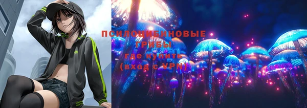 меф Майский