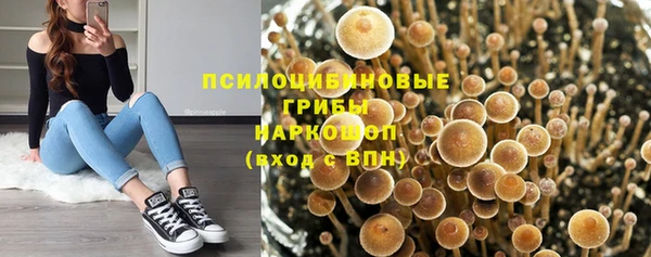 винт Магадан